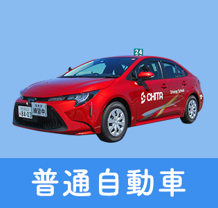 知多自動車学校 知多半島で免許取得するなら ちたじ におまかせ
